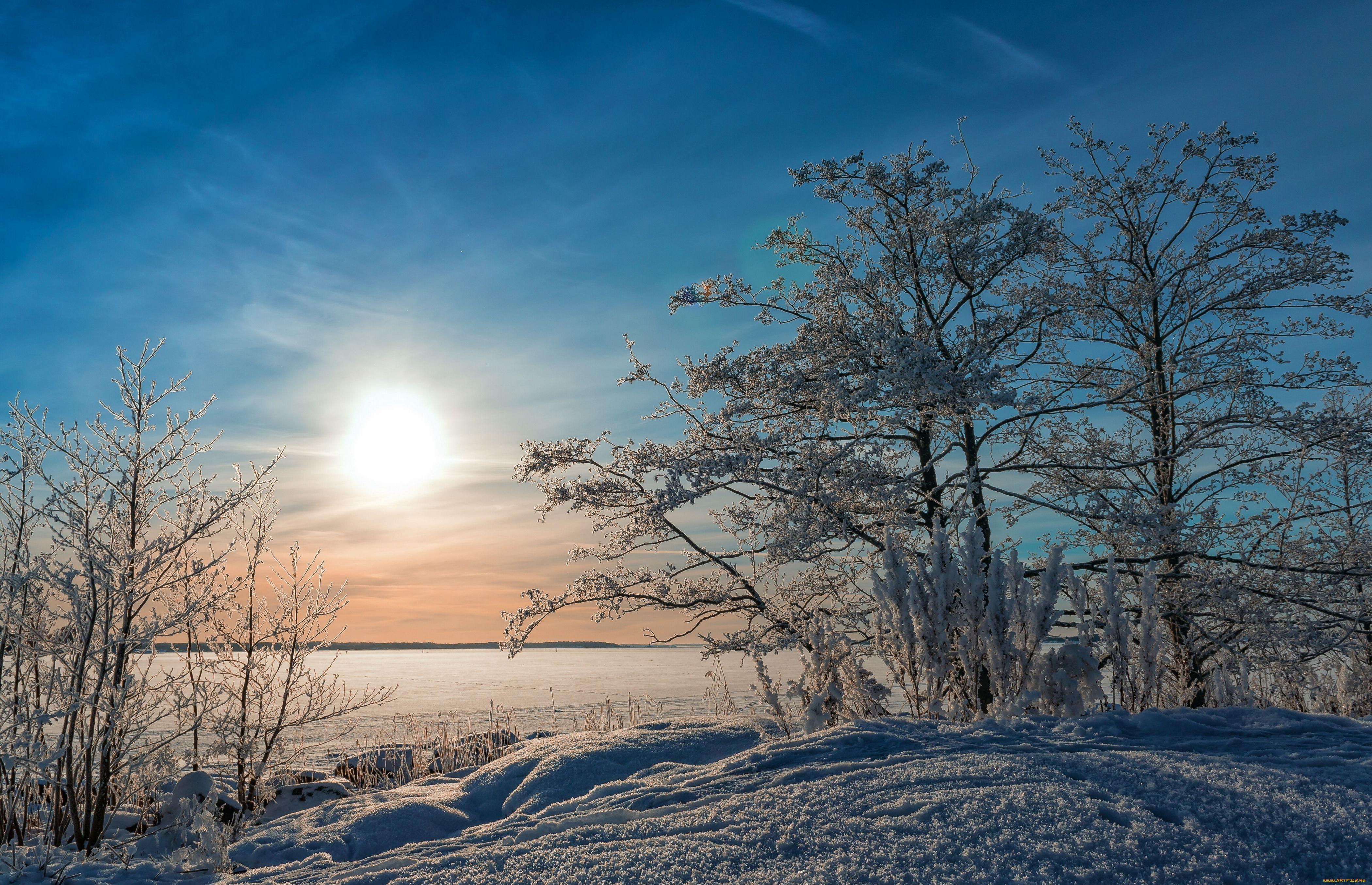 Зимний день воздух. Солнечный зимний день. Зима пейзаж. Февральский пейзаж. Зимнее утро.